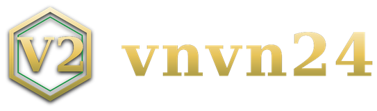 vnvn24 logo